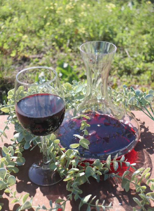 DELLRIDGE PINOTAGE - Image 2